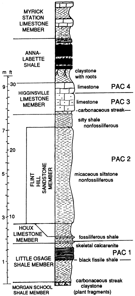 Stratigraphic column; from top, Nyrick Station Ls, Anna-Labette Sh, Higginsville Ls, Flint Hills Ss, Houx Ls, Little Osage Sh, Morgan School Sh.