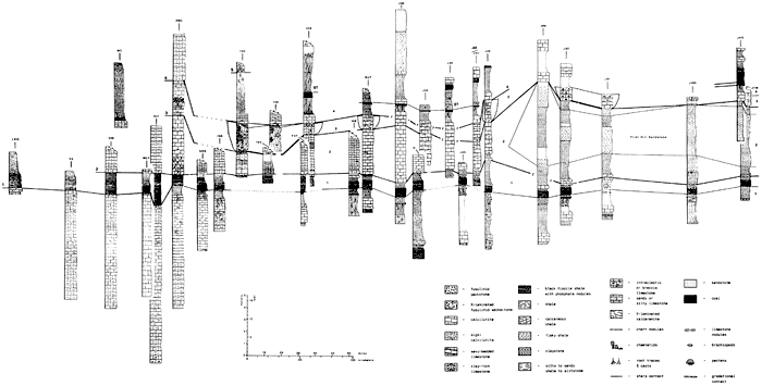 Cross section of cycles in the Fort Scott cyclothem.