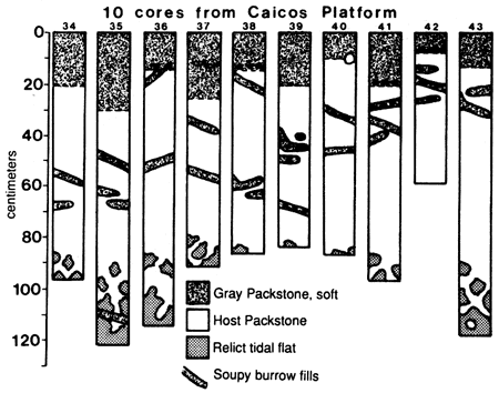 Ten cores from Caicos Platform.