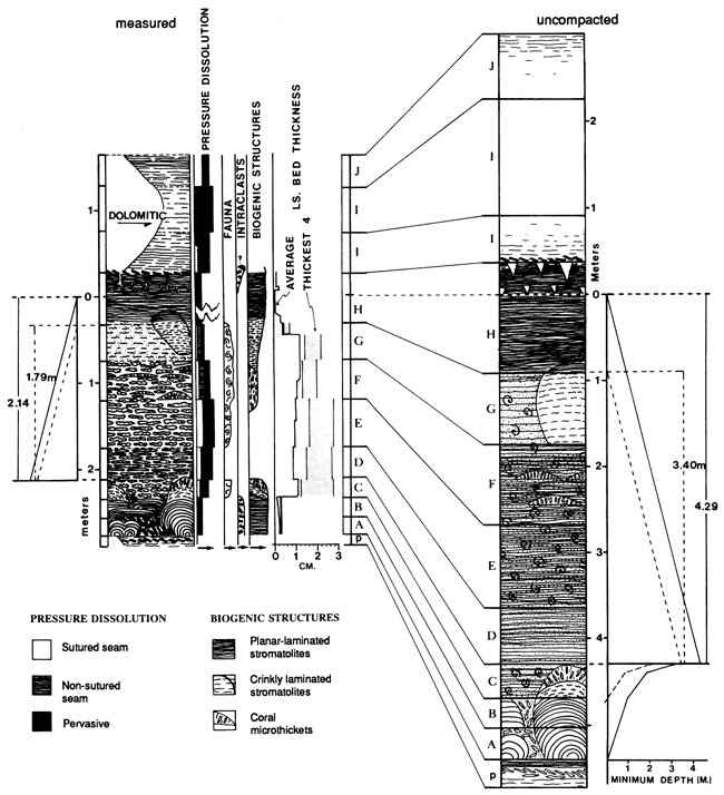 Stratigraphic chart of depositional sequence.