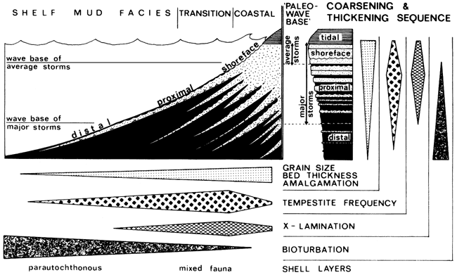 Coarsening and thickening sequences and facies changes of Helgoland Bight, North Sea.