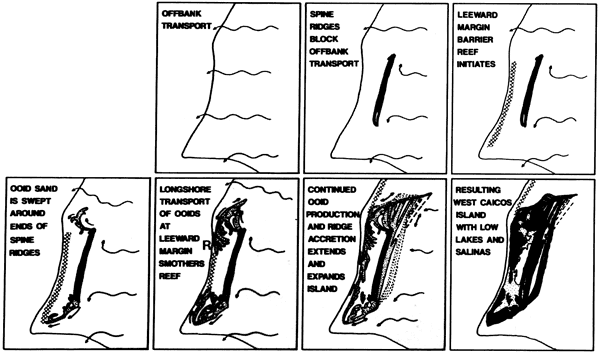 Seven snapshots of evolution of Caicos platform.