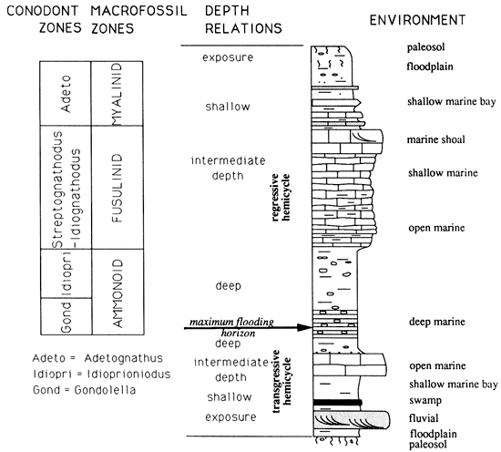 Conodont and macrofossil zones correlated with depth of flooding and environment of deposition.