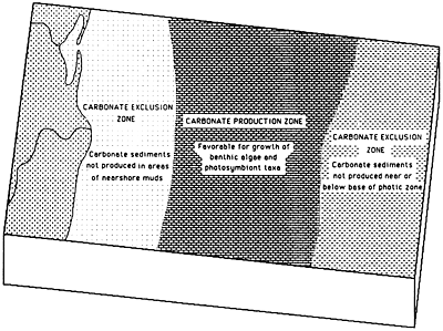 Carbonate producing zone flanked by zones where carbonate is excluded (because of nearshore muds or excessive water depth).