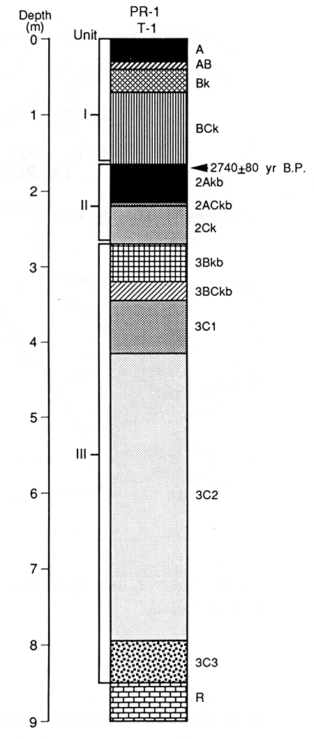 Soil stratigraphy observed in core 1 (T-1 fill) at locality PR-1.