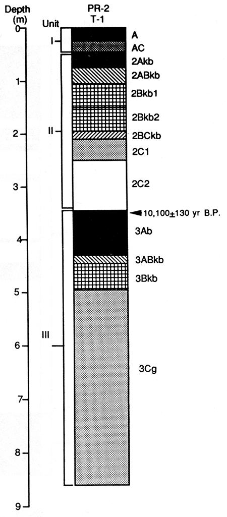 Soil stratigraphy observed in core 1 (T-1 fill) at locality PR-2.