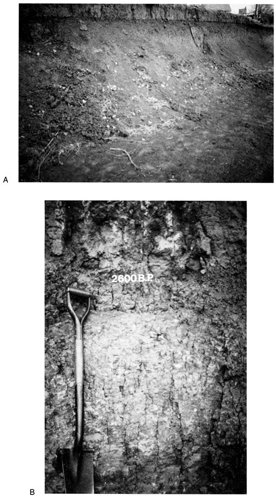 Two black and white photos of Elmore trench and close-up of T-1 fill.
