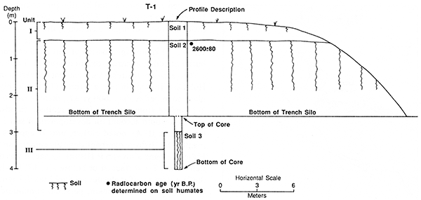 Elmore trench and core showing stratigraphic units, soils, and radiocarbon age.