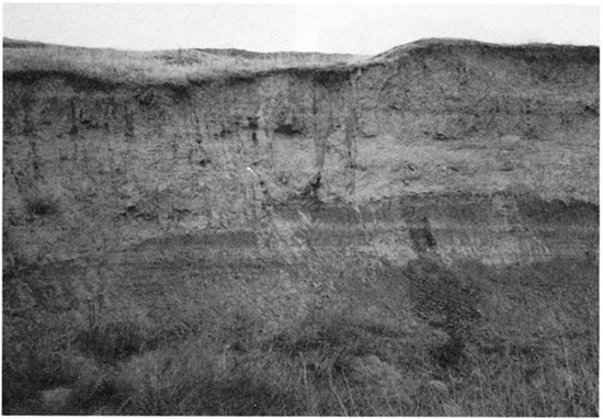 Black and white photo of Rucker section at locality PR-4.