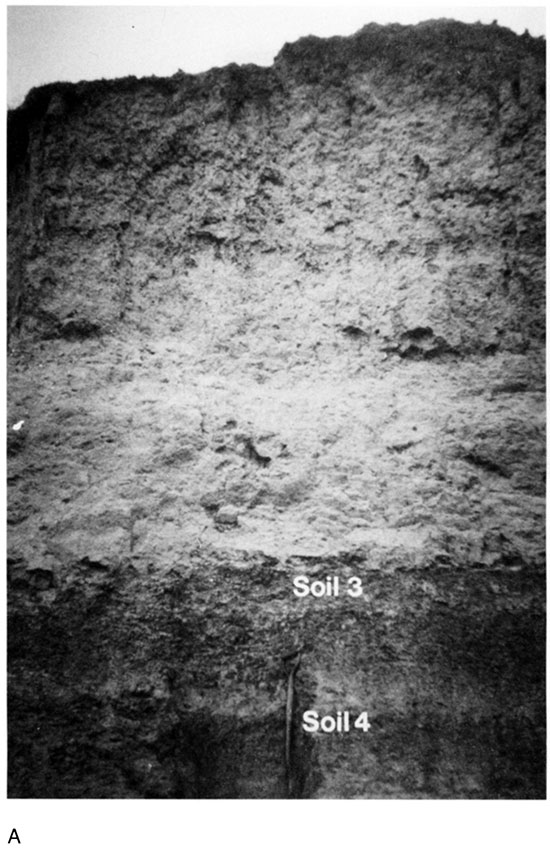 Black and white photo of Rucker section, soils 3 and 4 at the base of the exposure.