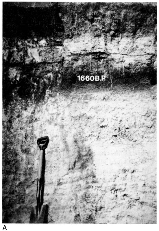 Black and white photo of Rucker section, soils 1 and 2 in the upper portion of the exposure.