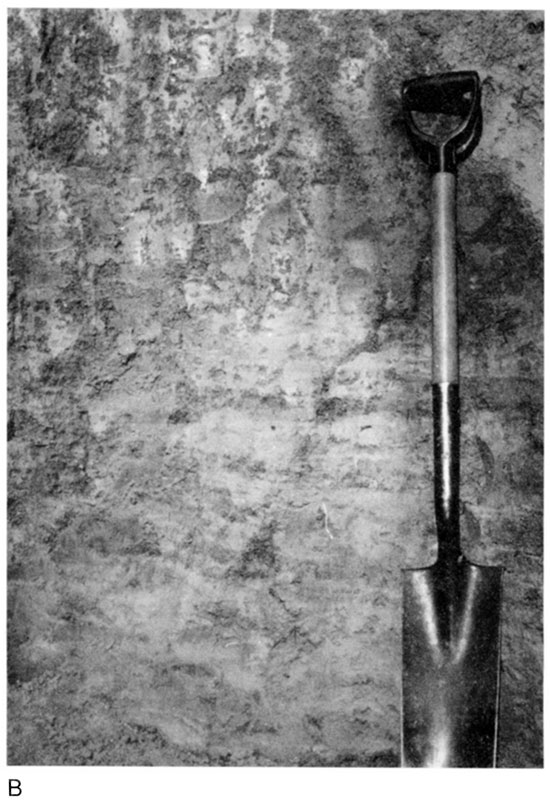 Black and white photo of Rucker section, horizontal bedding in unit II.