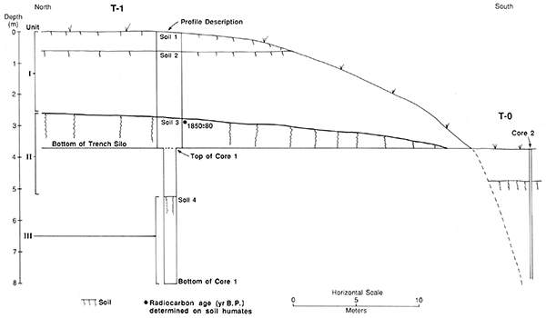 Cross-sectional diagram of T-1 and T-0 fill at locality PR-5.