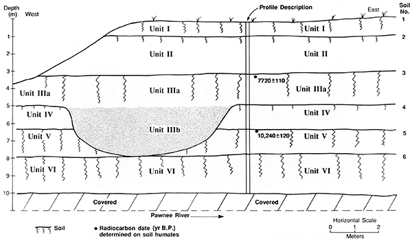 Cross-sectional diagram of the McCreight section.