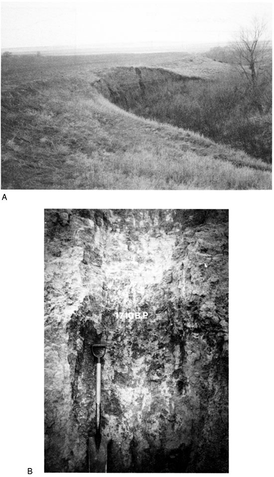 Black and white photos of Fearker section at locality PR-10 and close-up of soil 2.