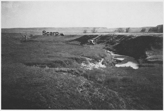 Black and white photo of valley floor of Buckner Creek at locality BC-1.