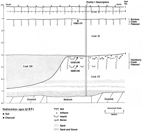 Cross-sectional diagram of section at site 14NS308.