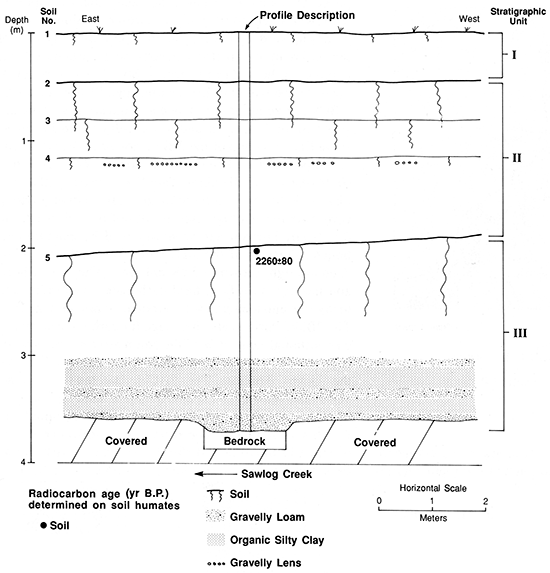 Cross-sectional diagram of section at site 14FD311.