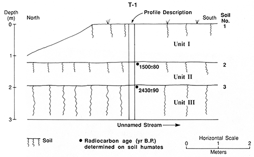Cross-sectional diagram of the Doll section at locality PR-11.