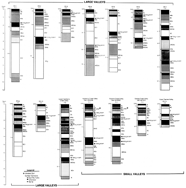 Stratigraphy in large and small valleys of the Pawnee River basin.