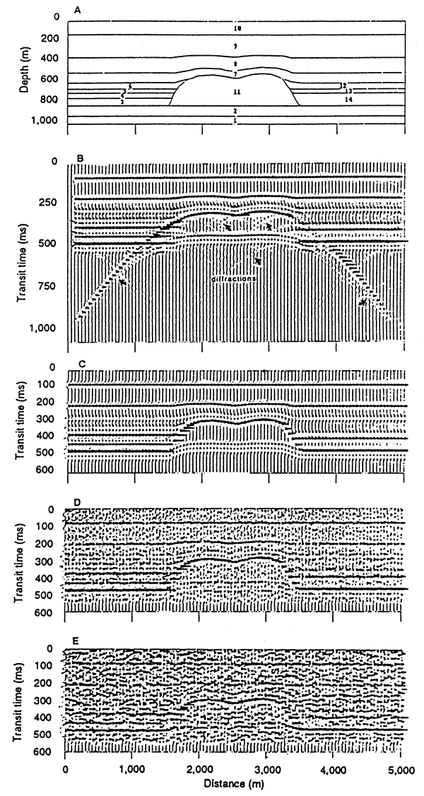 Geologic model and corresponding suite of synthetic seismograms.