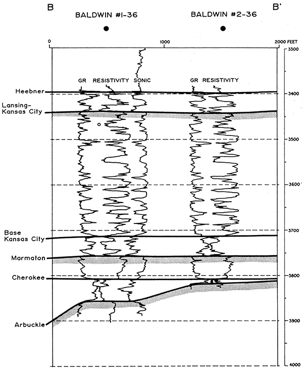 Type log cross section.