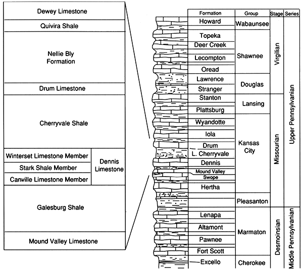 Generalized stratigraphy of the study interval.