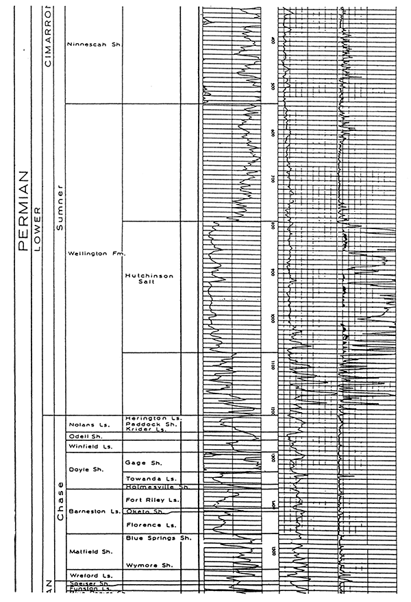 Type log of Rice County, Kansas, part 2 of 4.