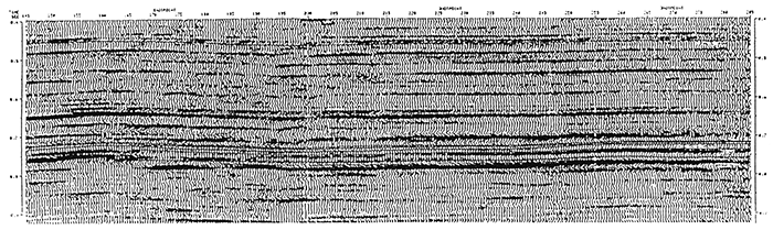 Annotated seismic profile.