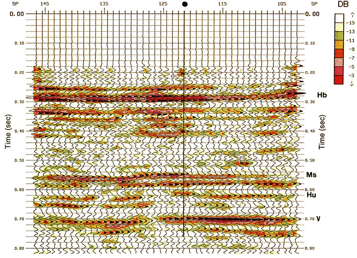 Complex trace attribute of reflection strength.