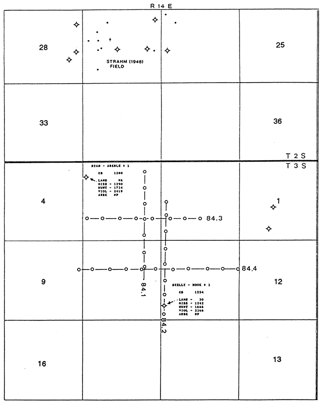 1984 CDP surveys with well control.