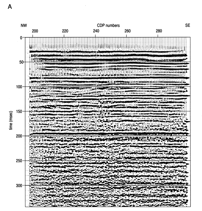 CDP stacked section of the seismic data.