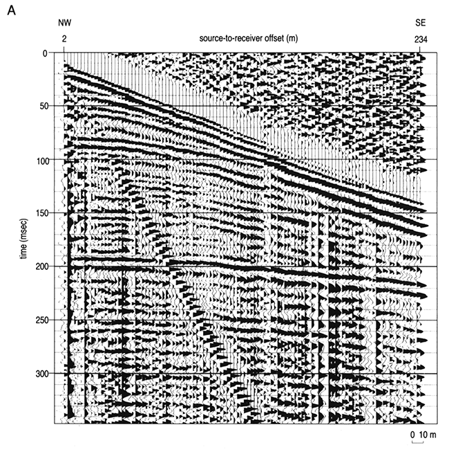 Walkaway-noise spread acquired with the 110-hz low-cut filters.