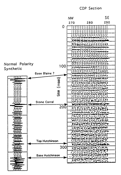 Correlation of synthetic trace to seismic section.