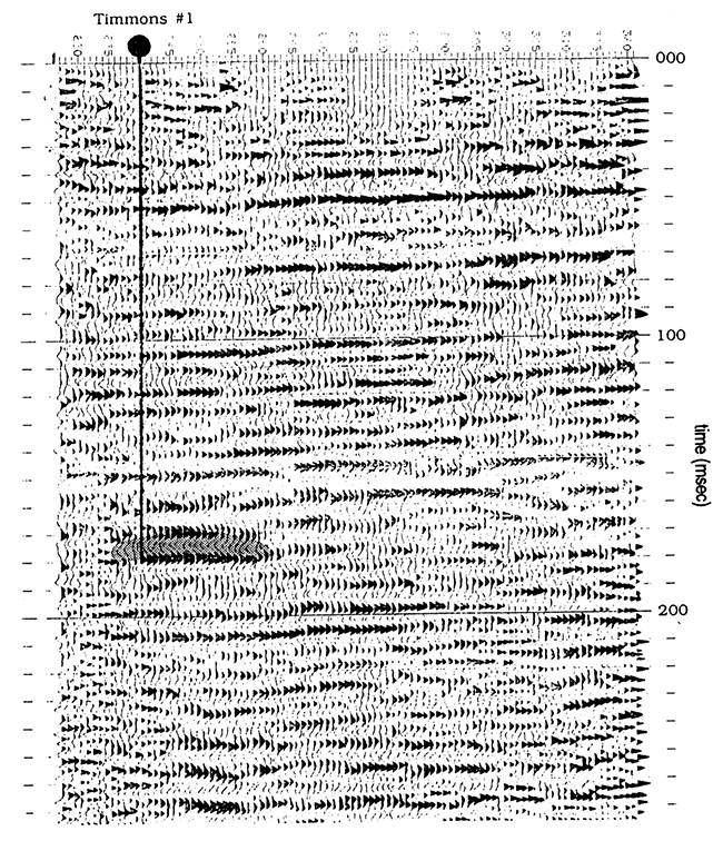 Seismic line 1.