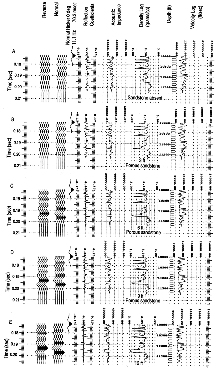 Suite of synthetic seismograms for the Stroud #5 well.