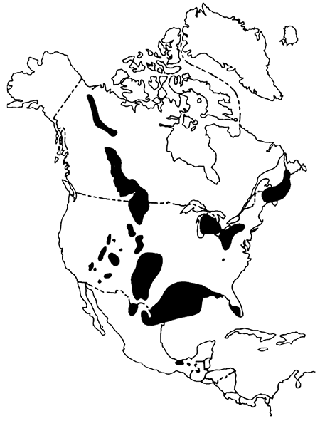 Major salt baslns of North America.