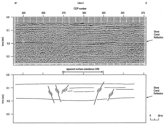 Pseudo 24-fold stack seismic section of line 3 with associated interpretive line drawing.