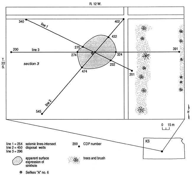 Site map indicating location of three seismic lines and approximate areal extent of the subsidence.