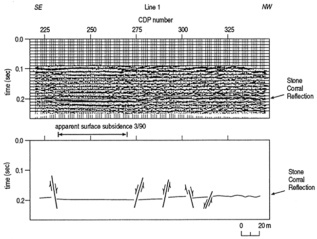 Pseudo 24-fold stack seismic section of line 1 with associated interpretive line drawing.