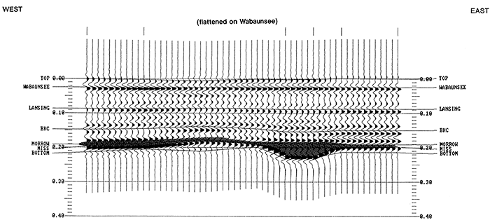 Seismic model of Damme field generated from input log section of fig. 7.