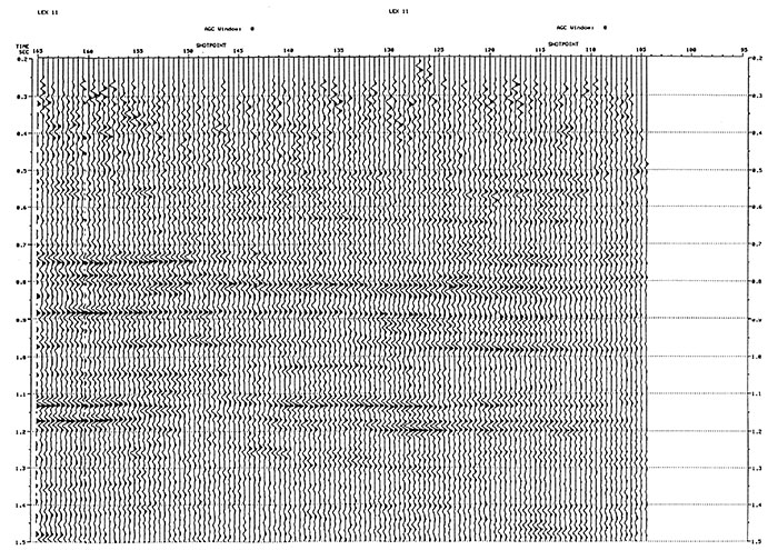 Representative seismic profile from study area.