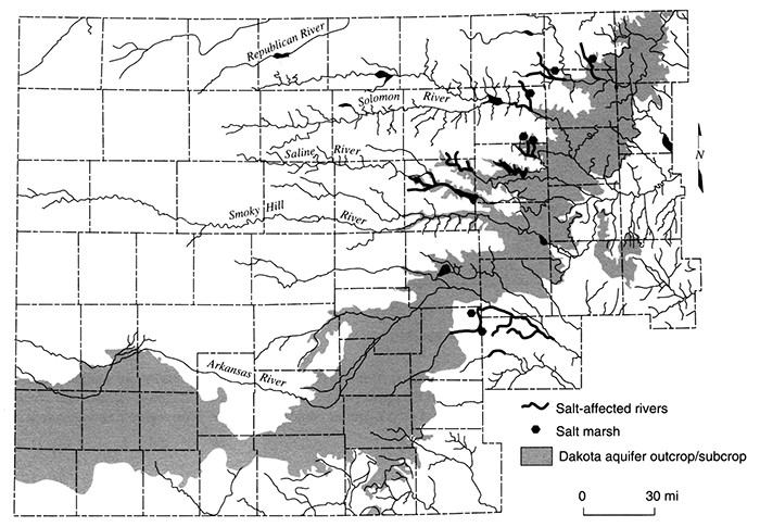 Salt marshes and salt-affected rivers located mostly in eastern and northern part of aquifer in central Kansas.