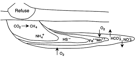 Landfill leachate displays different chemicals at different locations in waste field.