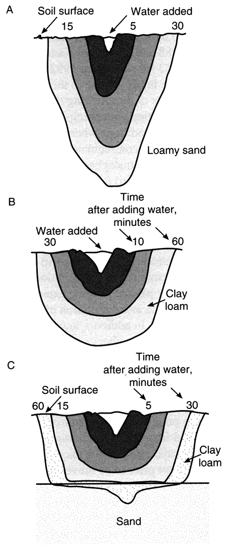 Wetting patterns expected for saturated and unsaturated flow.