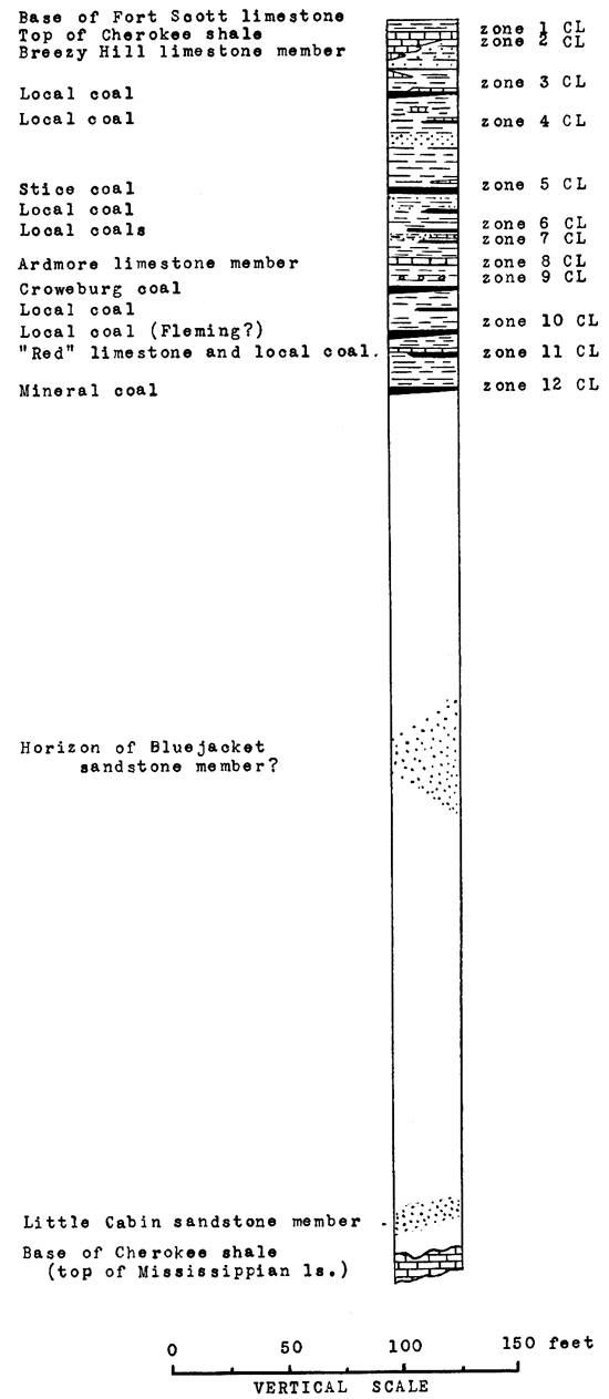 Stratigraphic column for Cherokee Shale, from top of Mississippian limestone at base to base of the Fort Scott Limestone at the top.