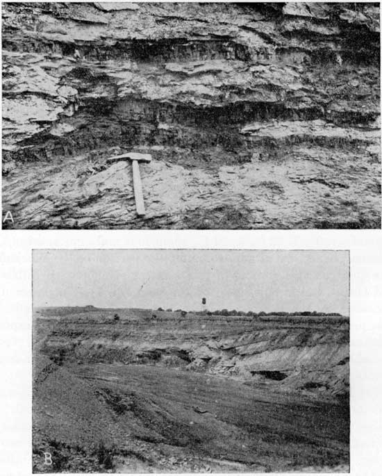 Two black and white photos; top shows coal lenses in outcrop; second shows beds exposed in coal mine.