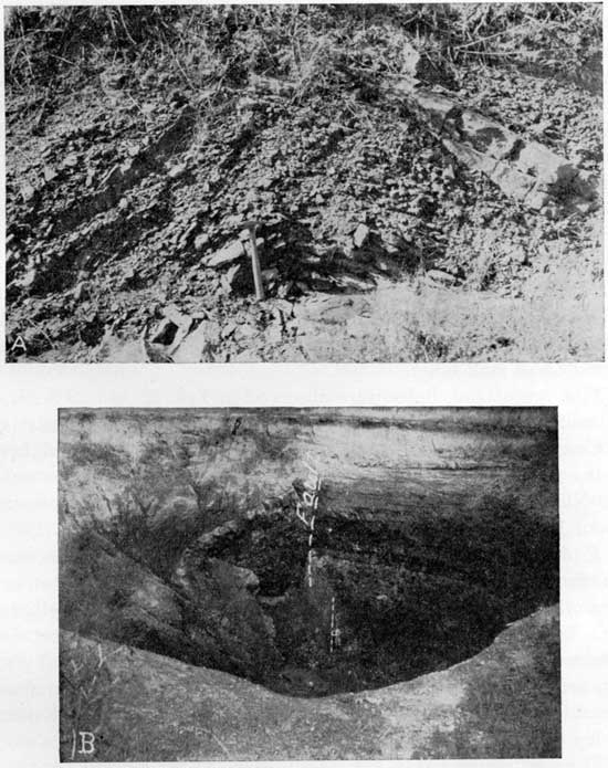 Two black and white photos; top shows a small fold exposed in roadcut; bottom shows a fossil sink hole exposed in a more recent sink hole.