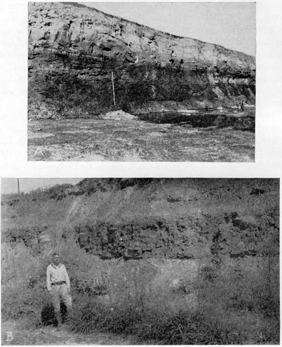 Two black and white photos; top is of a thick outcrop in a small mine; bottom photo is a man standing next to outcrop of beds above Croweburg coal.