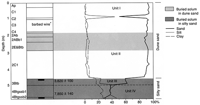 Pedostratigraphy, soil horizonation, and texture at the Cullison Quarry.